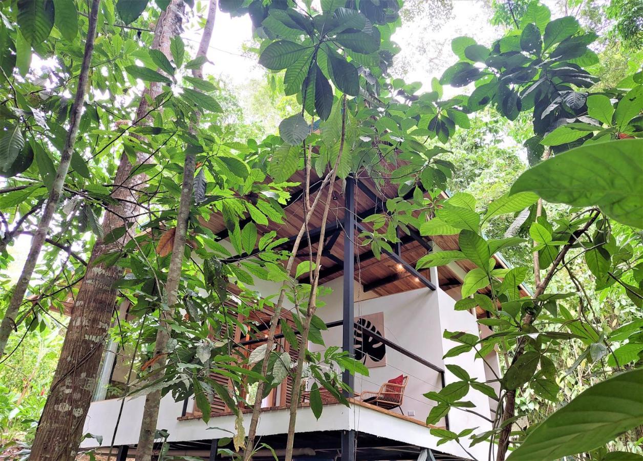 Satta Lodge (Adults Only) Puerto Viejo de Talamanca Экстерьер фото