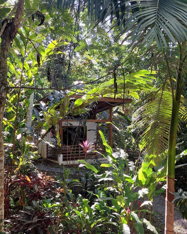 Satta Lodge (Adults Only) Puerto Viejo de Talamanca Экстерьер фото
