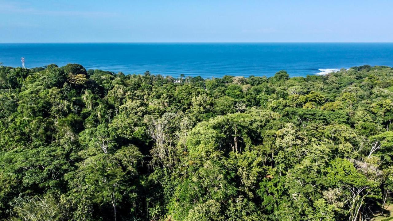 Satta Lodge (Adults Only) Puerto Viejo de Talamanca Экстерьер фото