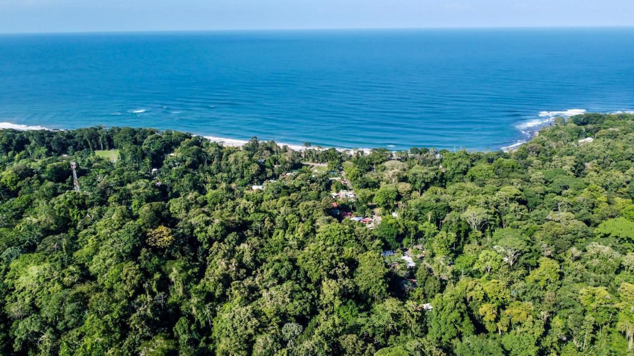 Satta Lodge (Adults Only) Puerto Viejo de Talamanca Экстерьер фото