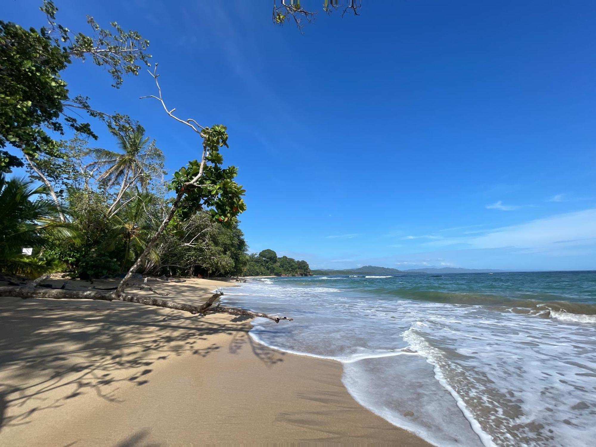 Satta Lodge (Adults Only) Puerto Viejo de Talamanca Экстерьер фото