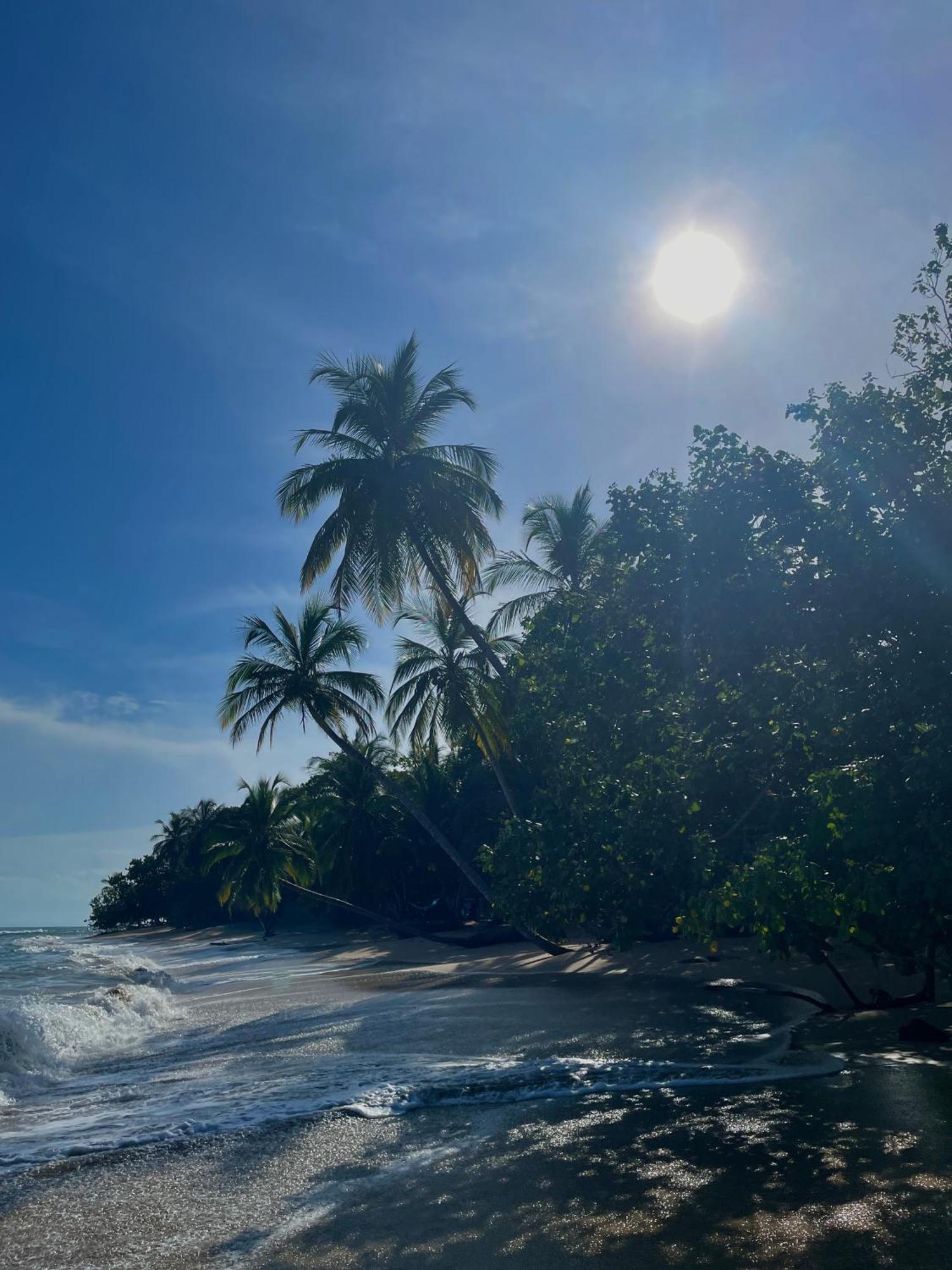 Satta Lodge (Adults Only) Puerto Viejo de Talamanca Экстерьер фото