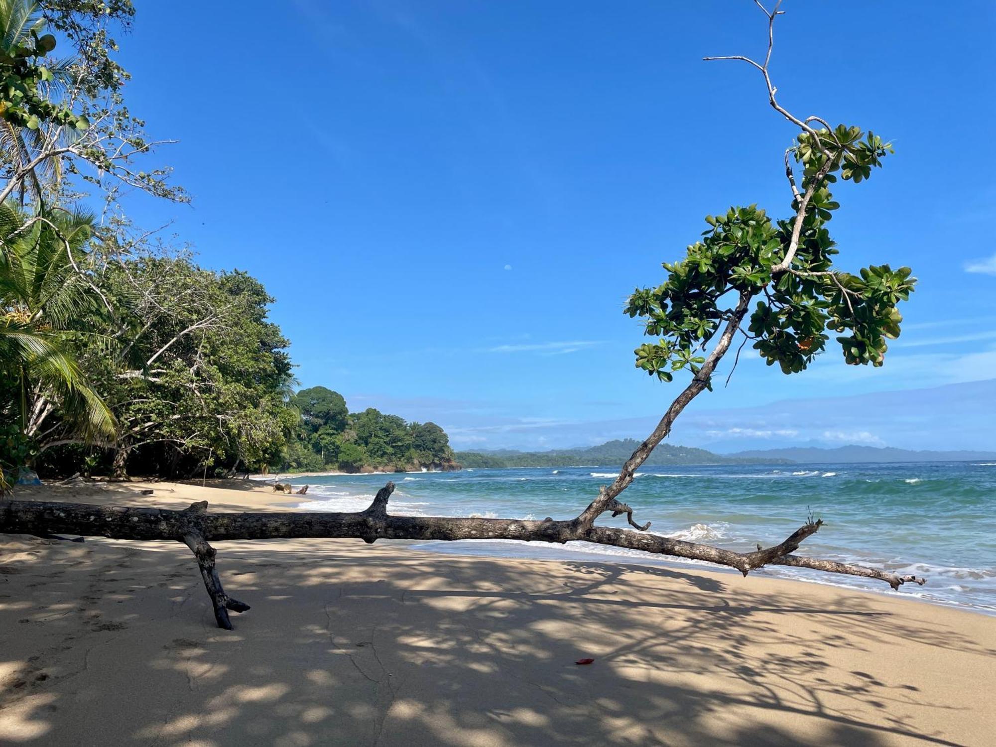 Satta Lodge (Adults Only) Puerto Viejo de Talamanca Экстерьер фото