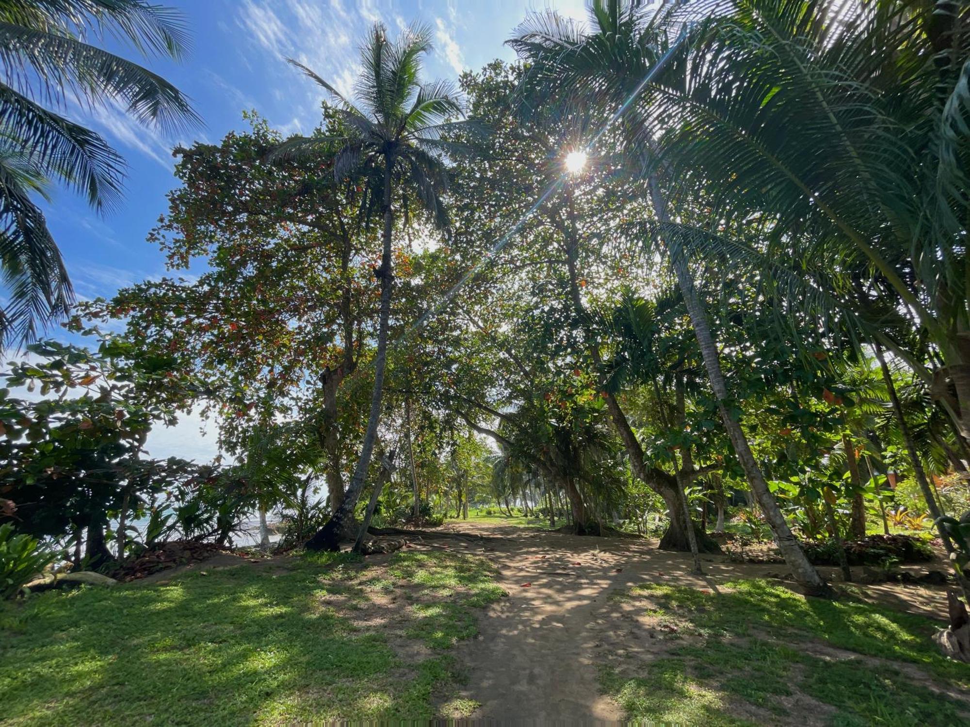 Satta Lodge (Adults Only) Puerto Viejo de Talamanca Экстерьер фото