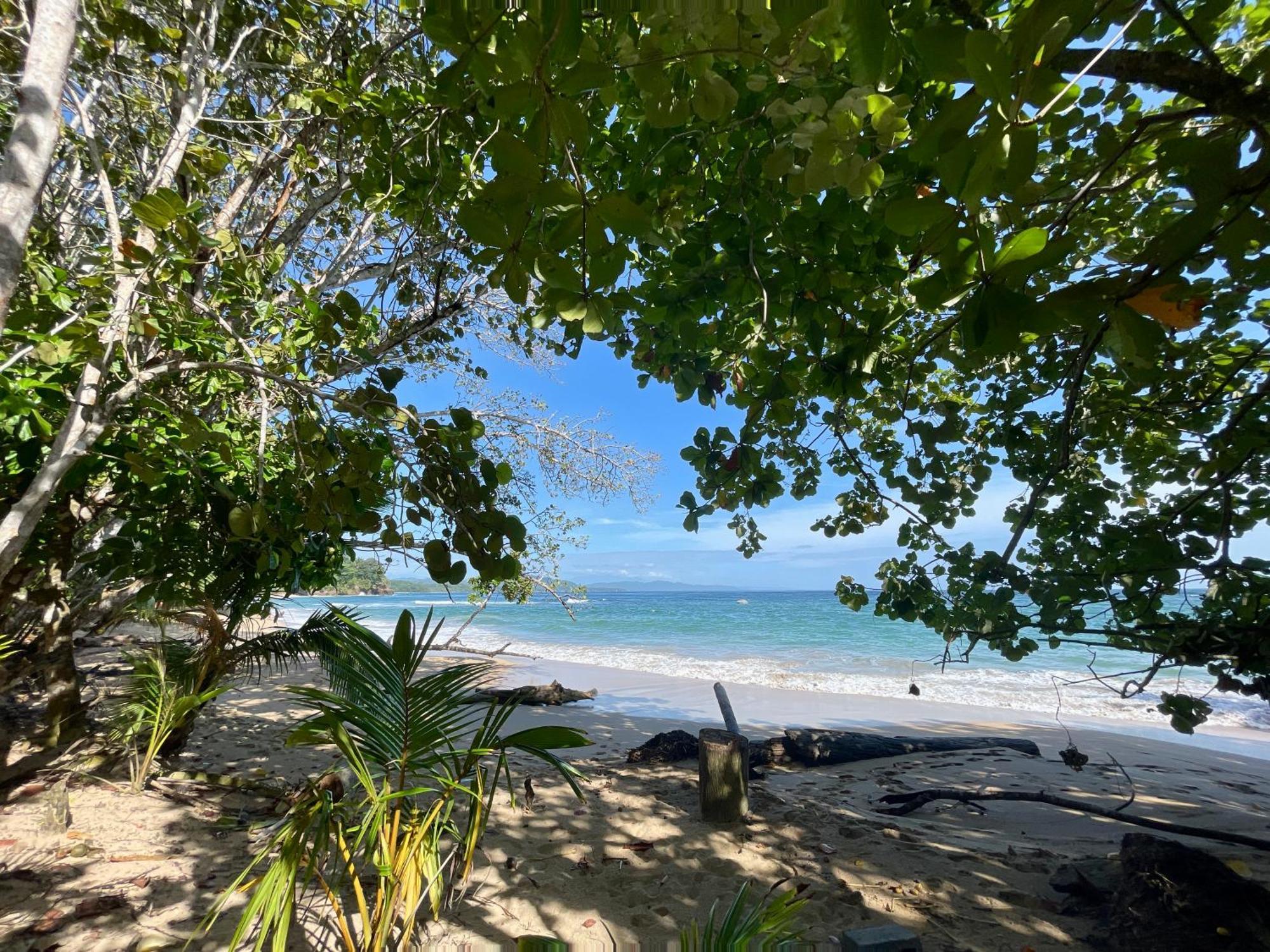 Satta Lodge (Adults Only) Puerto Viejo de Talamanca Экстерьер фото
