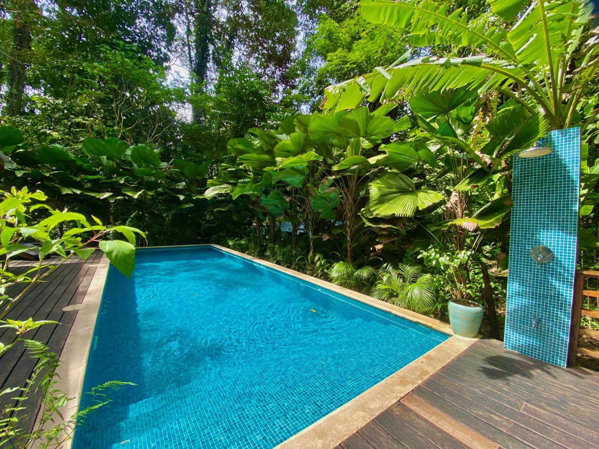 Satta Lodge (Adults Only) Puerto Viejo de Talamanca Экстерьер фото